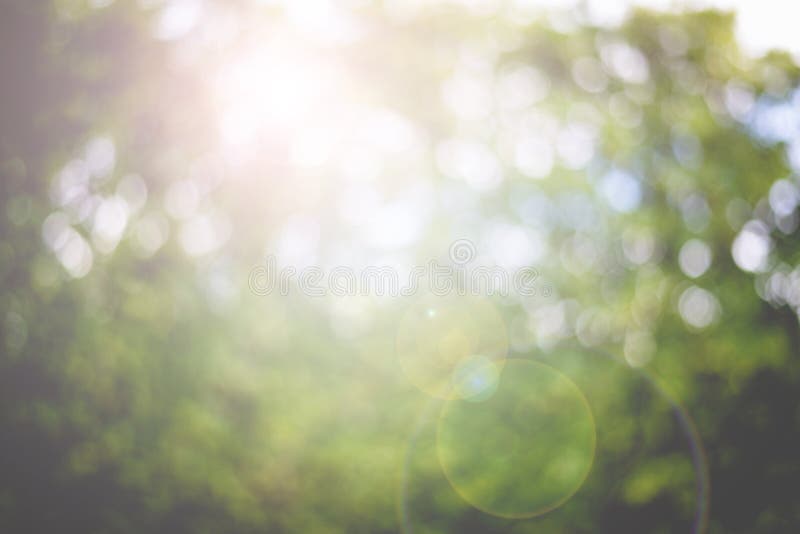 Abstract Nature Lens Flare thể hiện sự kết hợp giữa trừu tượng và thiên nhiên, tạo ra một không gian đẹp mê hồn, đầy ảo diệu.