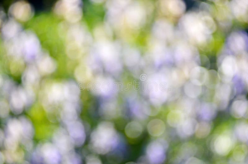 Abstract nature bokeh background - blur colorful bokeh.