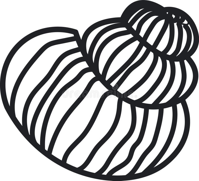 Abstract Nautilus Shell Sketch stock illustration