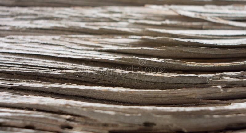 Abstract old wood background stock photography