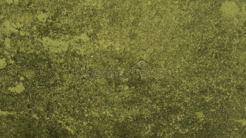 Olive Green Background Texture