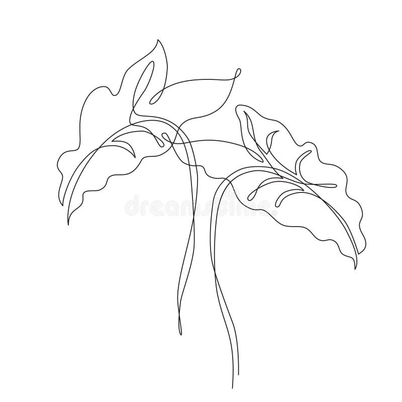 Abstract one line art of elephant ears leaves. Elegant continuous line drawing. Minimal art leaves isolated on white backgroud