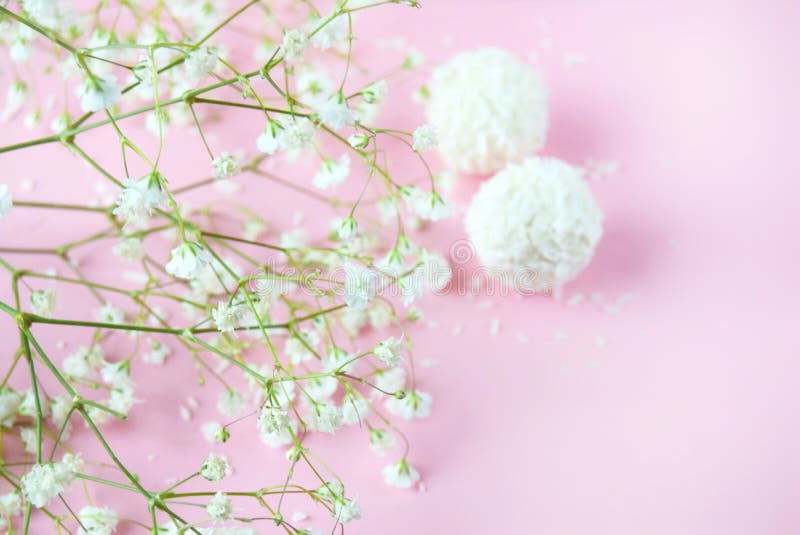 Abstract pastel background with small white flowers and kanatami-the concept of mothers Day, Valentines Day, Birthday.