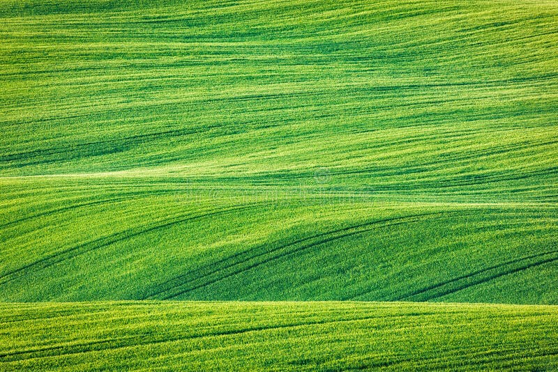 Abstract pattern texture of rolling fields