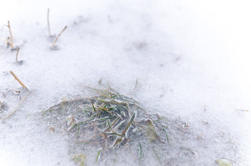 Abstract pattern in winter. Frost, design.