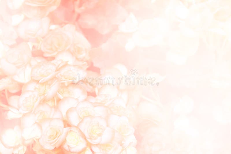229,271 Abstract Pink Flower Stock Photos - Free & Royalty-Free Stock ...
