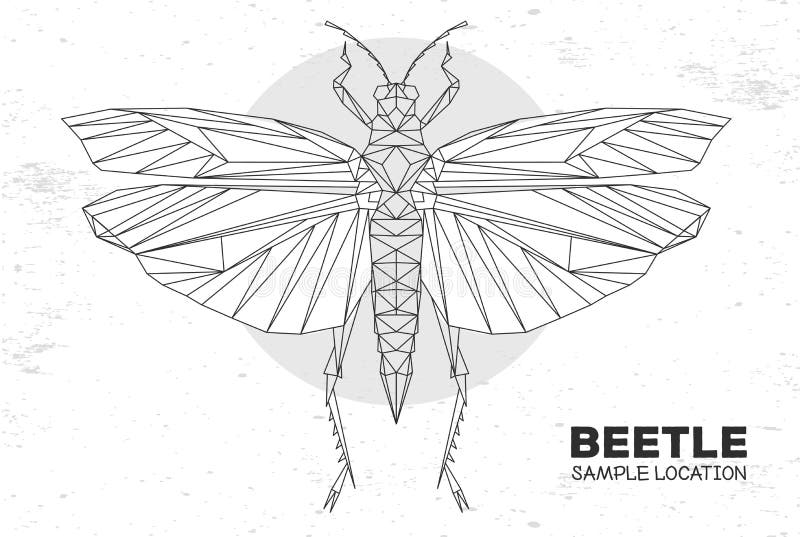 Abstract polygonal triangle grasshopper. Artistic Bug. Entomological illustration vector illustration
