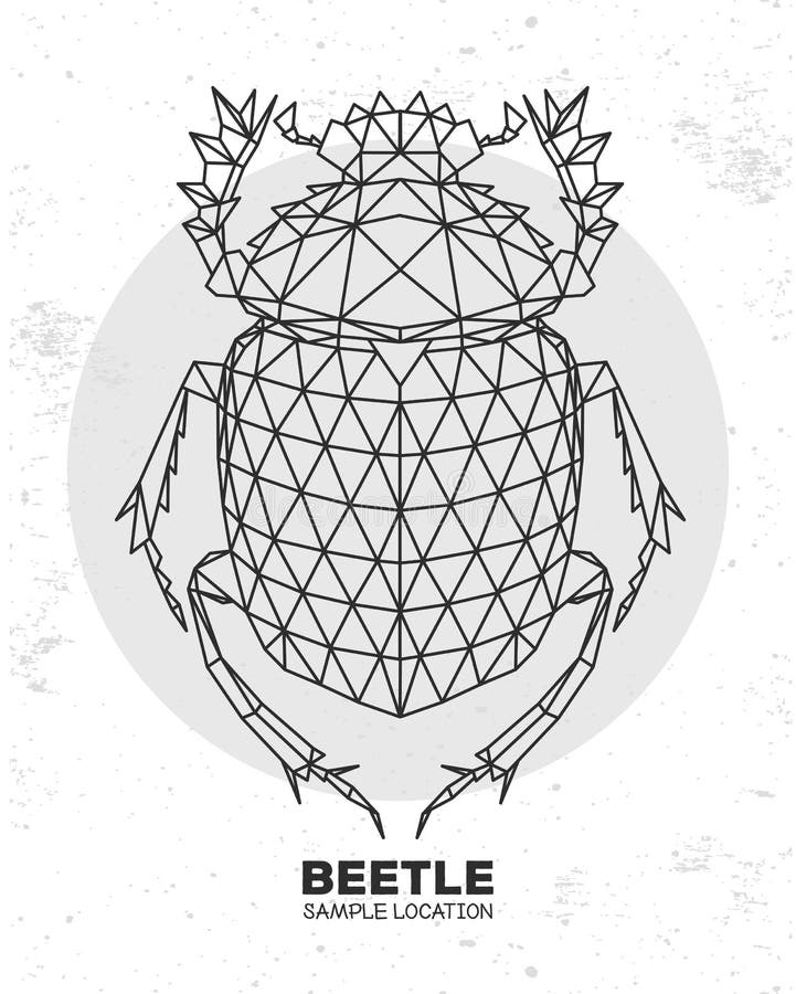 Abstract polygonal triangle Scarabaeus beetle. Artistic Bug. Entomological illustration vector illustration.