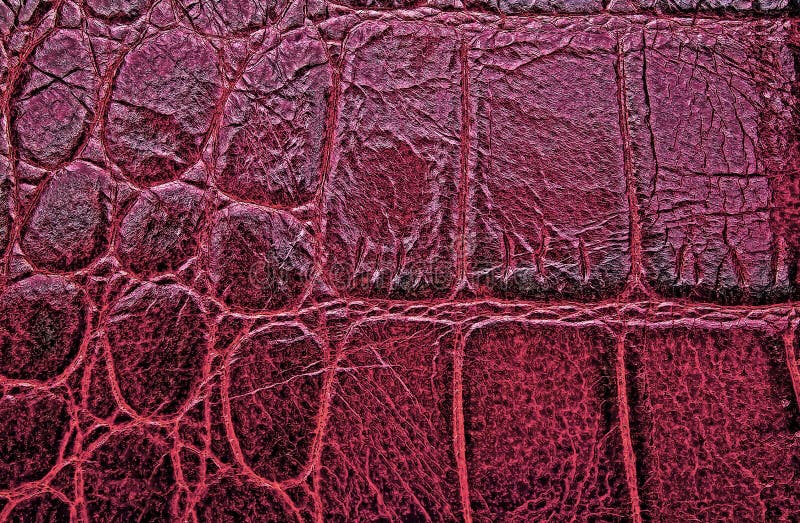 Background Of Red Crocodile Skin Texture Stock Photo, Picture and Royalty  Free Image. Image 94599777.