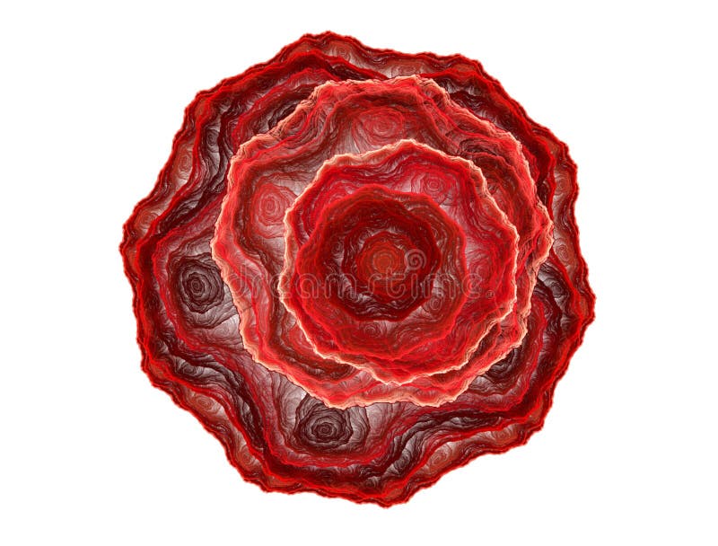 Abstract red fractal rose