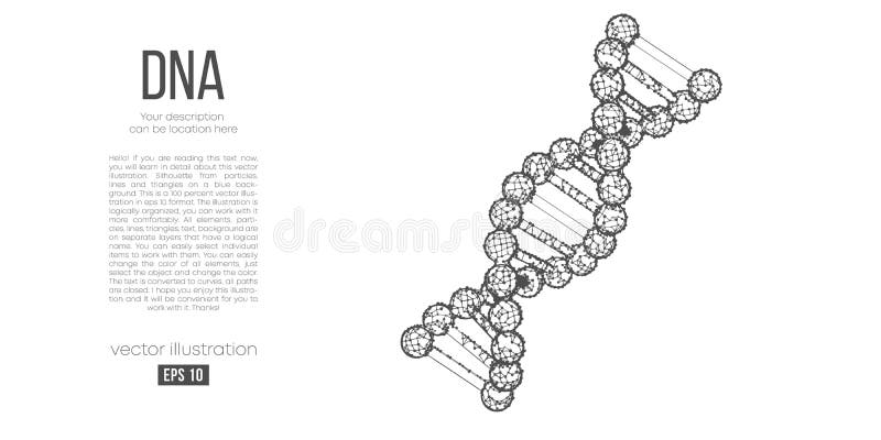 Dna Silhouette Stock Illustrations 3 464 Dna Silhouette Stock Illustrations Vectors Clipart Dreamstime