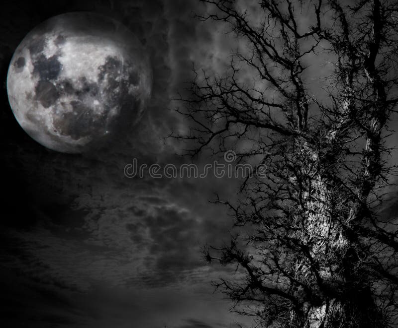 Abstract Spooky Tree and moon stock photography Abstract Spooky Tree and moon stock photography