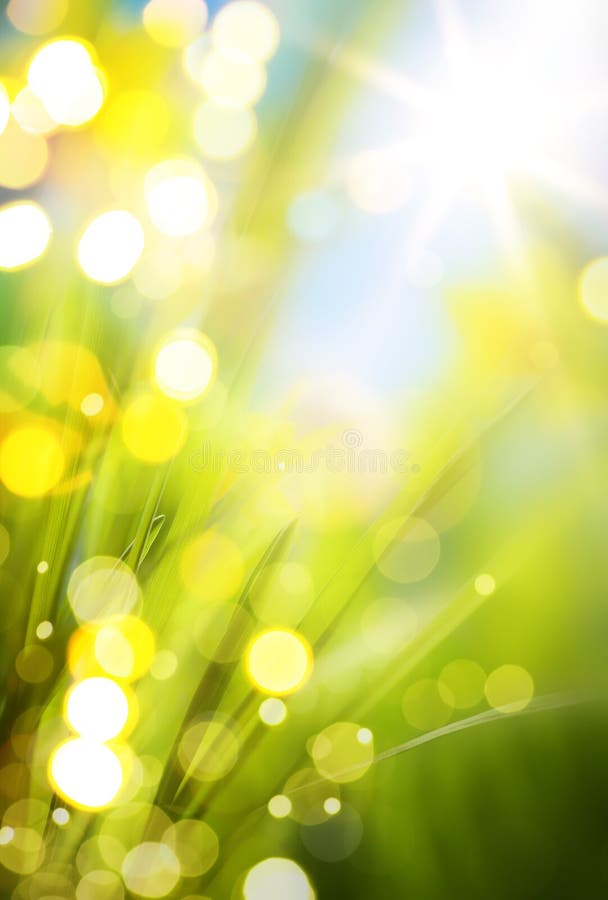 Abstract spring background