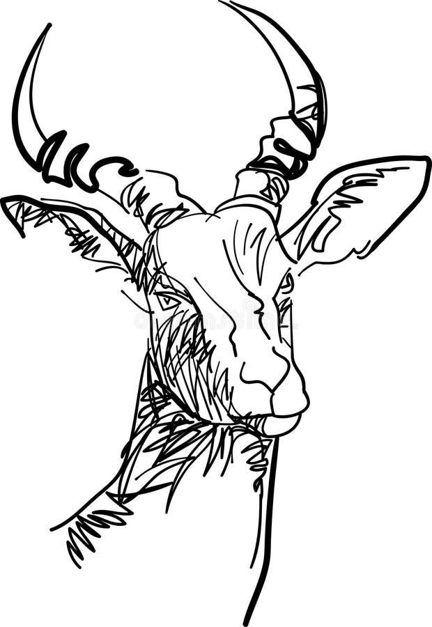 Abstract stag head stock vector. Illustration of stag 95488397