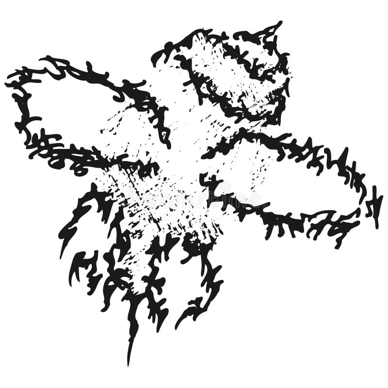 Abstract stylized B&W fly or bee