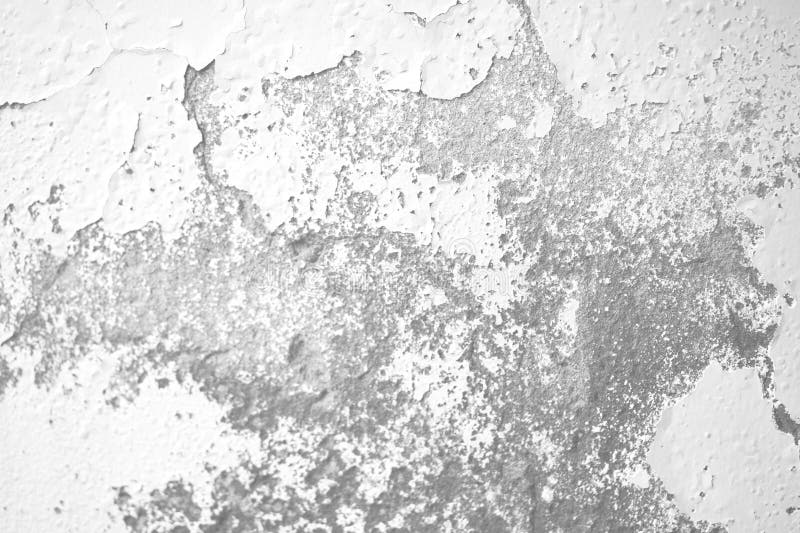 Close-up of peeling paint on a wall with black mold growth. Decagon stock images, royalty-free photos and pictures