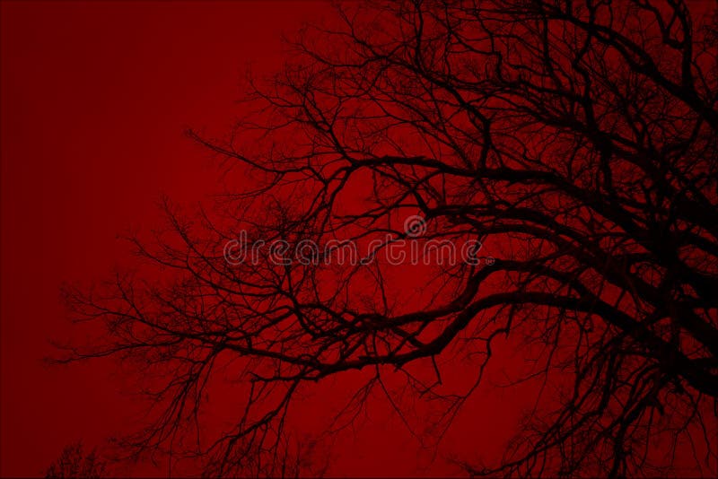 Abstract Theme. Branches of Trees without Leaves on a Dark Red Background  Stock Photo - Image of background, oranges: 176984022