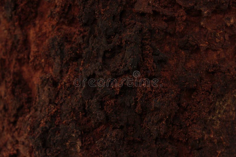 Abstract background of tree bark royalty free stock photos