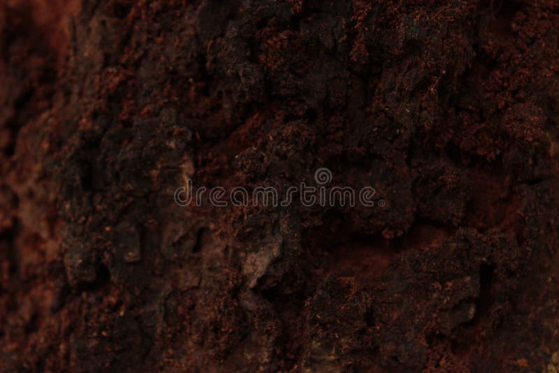 Abstract background of tree bark stock photography