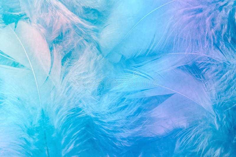 Abstract Trend Blue Rainbow Feather Background. Closeup of Colorful ...