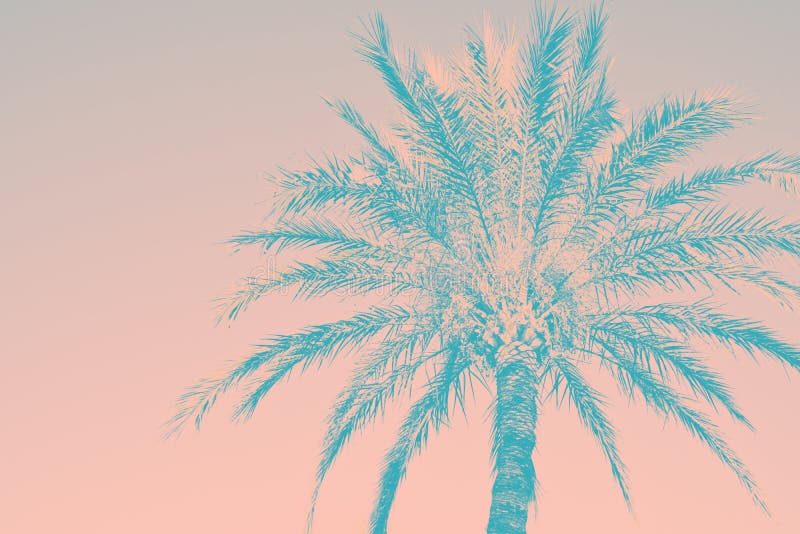 Abstract tropical nature background. Silhouette of palm tree vintage pink teal toned faded grungy effect. Funky style. Poster