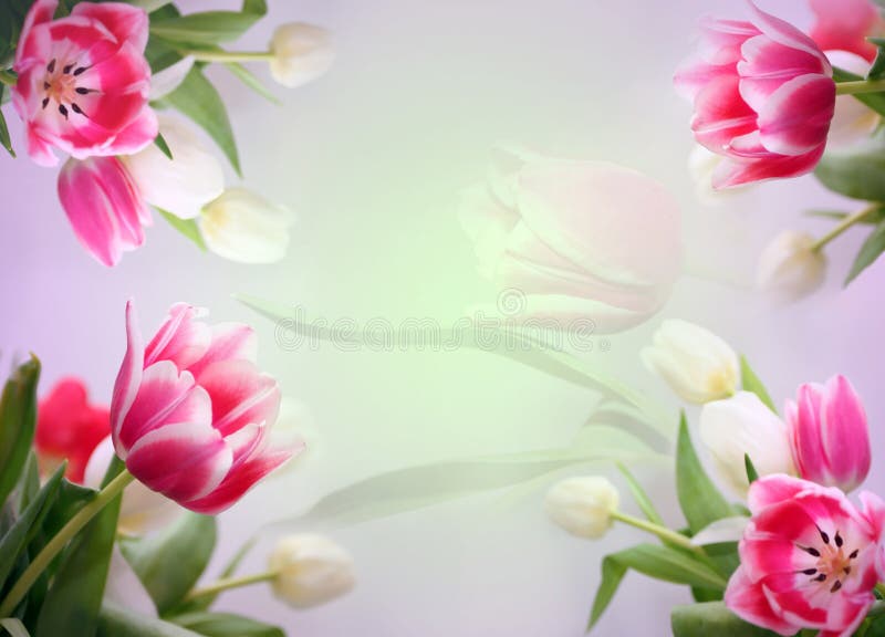 Abstract tulips background