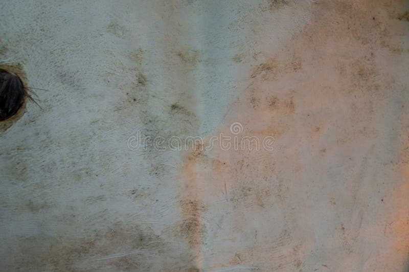 Abstract using a deer hide background stock images