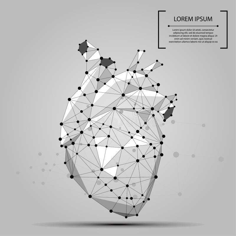 Abstract veelhoekig lijn en punt menselijk hart intern orgaan stock illustratie Abstract veelhoekig lijn en punt menselijk hart intern orgaan stock illustratie