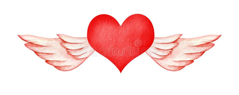 Abstract watercolor decorative element. Bright red flying heart with Gently pink angel wings. Valentine`s day postcard. Backgroun