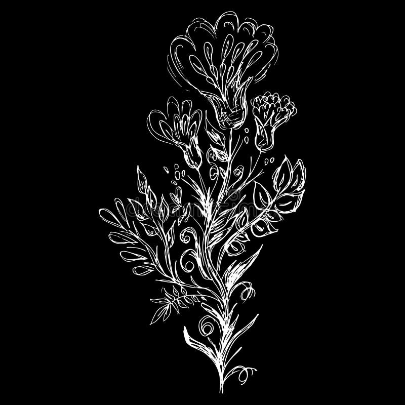 Download Abstract Wildflowers Outline Icon Isolated On Black ...
