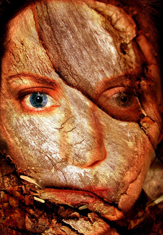 Abstract Woman Cracked Face