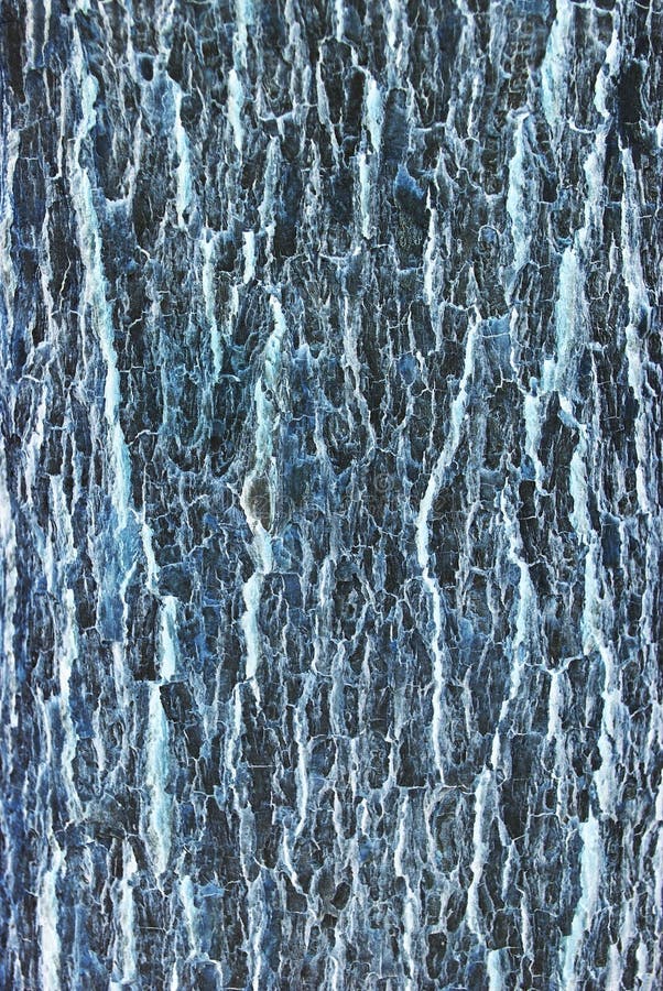 Abstract Wood Texture Bark stock image
