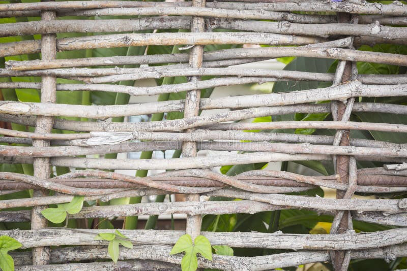 Abstract of Woven Branch Decorative Thatch Work Fence royalty free stock photos