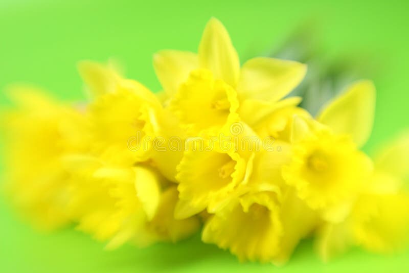 Abstract Yellow Flowers