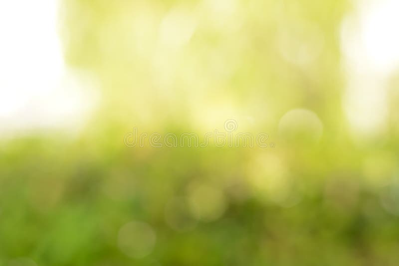 Abstract Yellow & Green Blur Background with Lens Flare Effect Stock Image  - Image of yellow, festive: 49197101