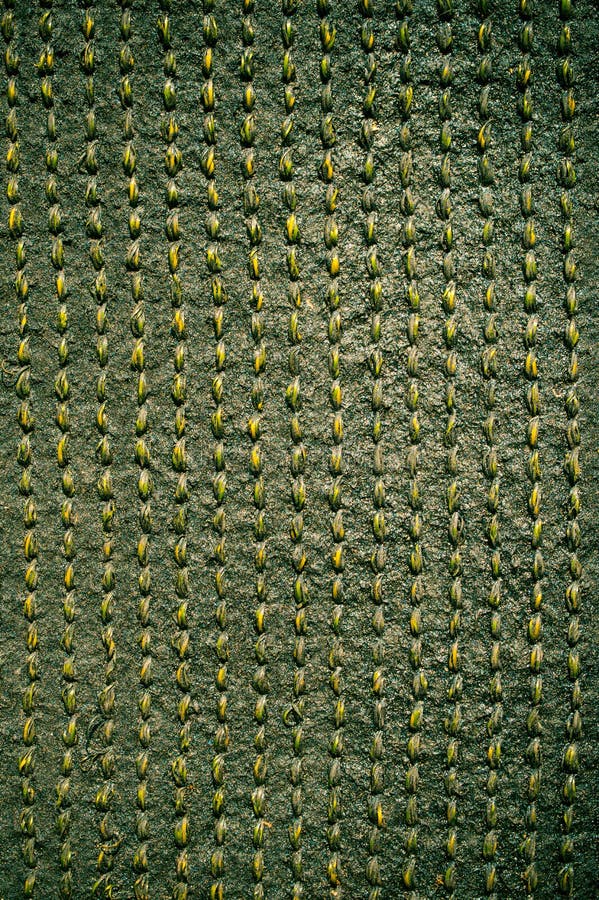 Abstracte achtergrond stock foto's