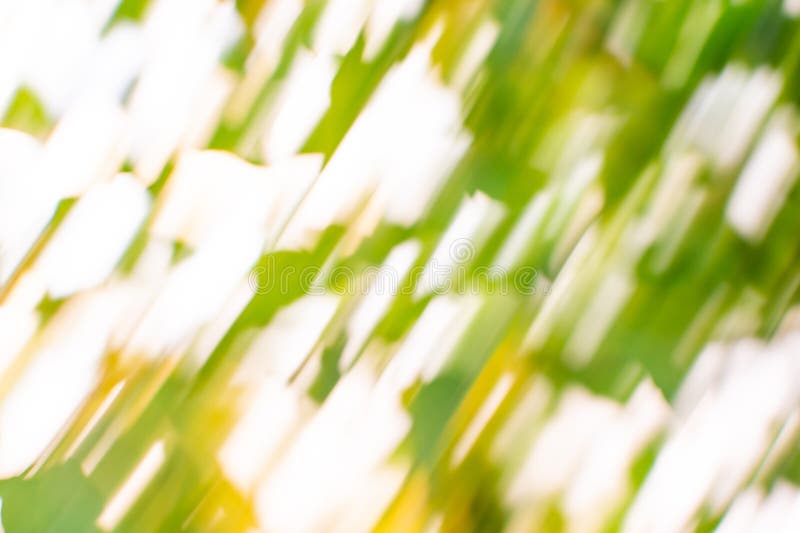 Abstracte bron natuur ontocgebruikt bokeh effect achtergrond. abstracte gedefocaliseerde bron achtergrond stock afbeelding Abstracte bron natuur ontocgebruikt bokeh effect achtergrond. abstracte gedefocaliseerde bron achtergrond stock afbeelding