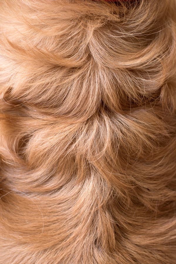 Abstracte bruine valse dierlijke bonttextuur stock afbeelding Abstracte bruine valse dierlijke bonttextuur stock afbeelding