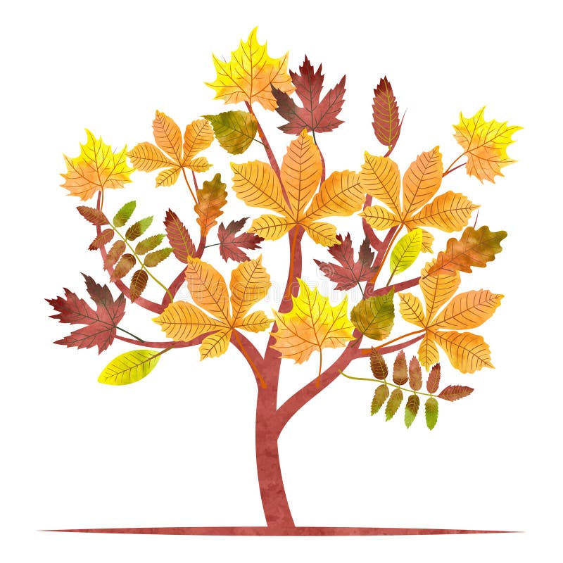 Abstracte de herfstboom met waterverfesdoorn, eik, kastanjebladeren vector illustratie Abstracte de herfstboom met waterverfesdoorn, eik, kastanjebladeren vector illustratie