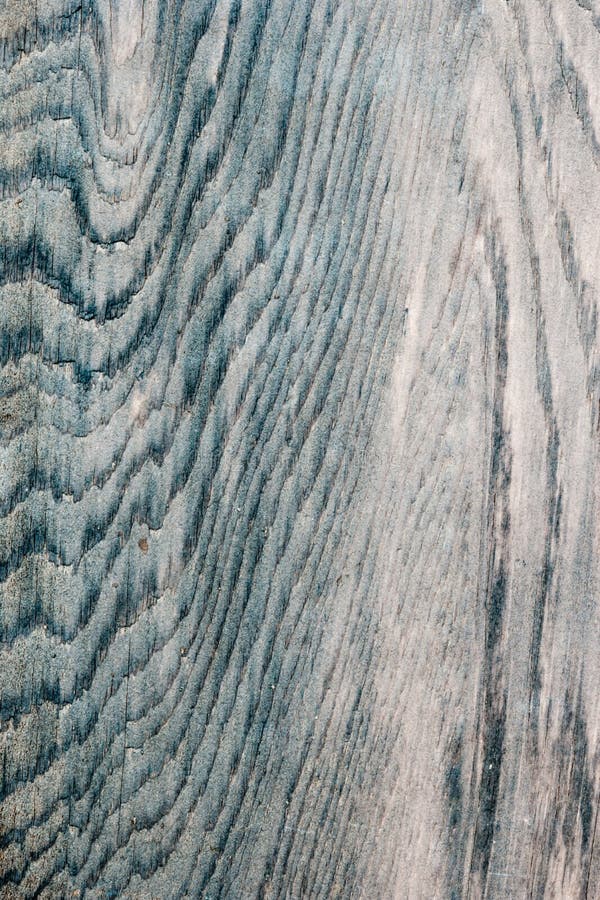 Abstract gray wood backgrounds,grain heavy. Abstract gray wood backgrounds,grain heavy.