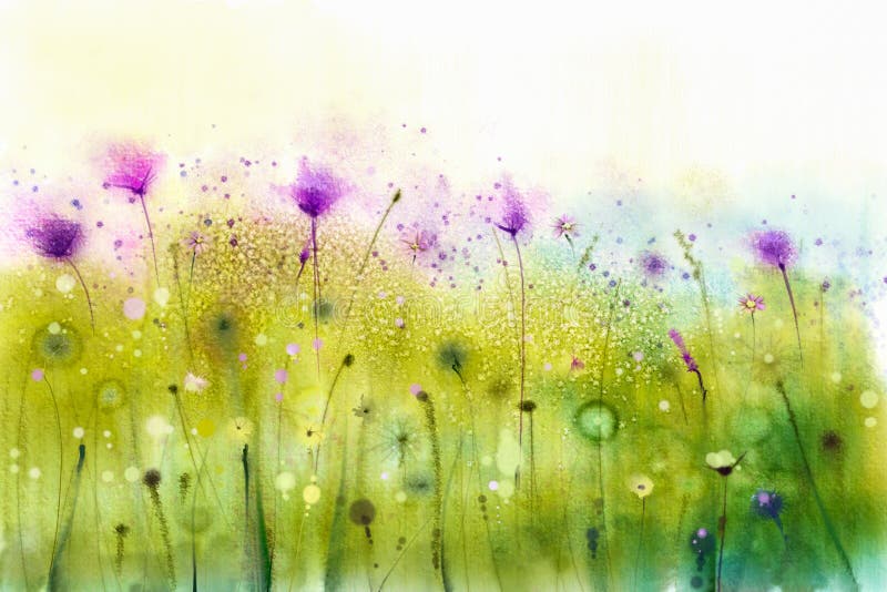 Abstract watercolor painting purple cosmos flowers and white wildflower. Wild flowers meadow, green field paintings. Hand painted floral, flower in meadows. Spring flower seasonal nature background. Abstract watercolor painting purple cosmos flowers and white wildflower. Wild flowers meadow, green field paintings. Hand painted floral, flower in meadows. Spring flower seasonal nature background