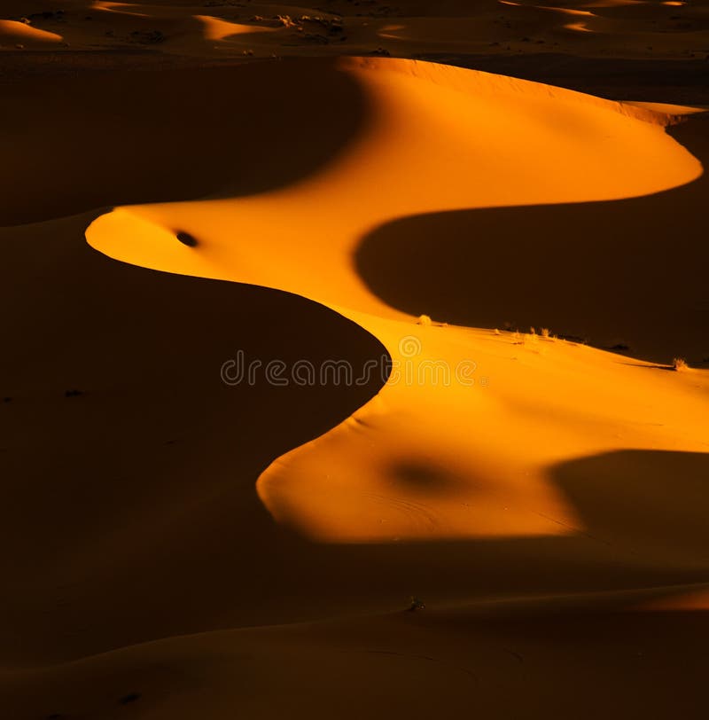 Abstracte woestijn