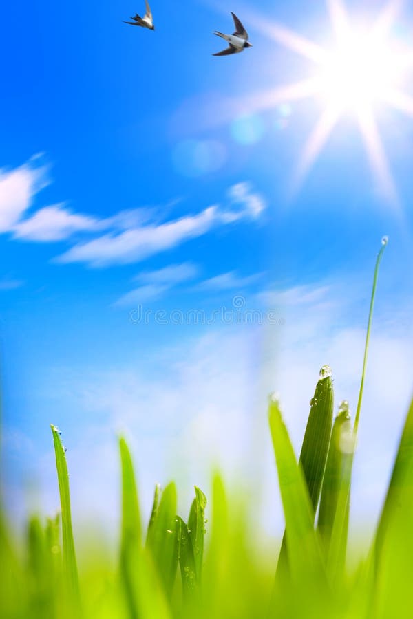 Abstracts beautifu spring background