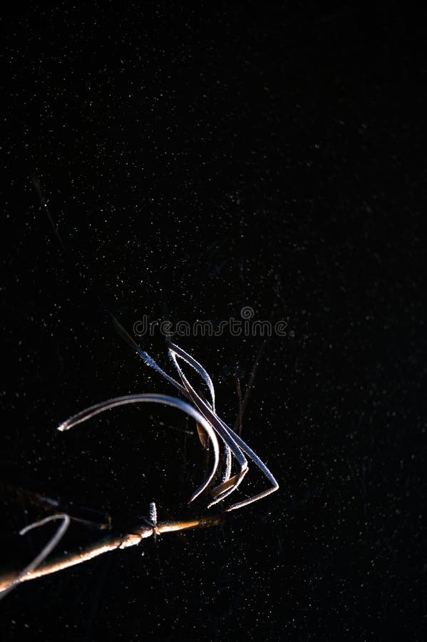 Abstracts winter nature background with frost covered dry grass on the ice surface of the lake