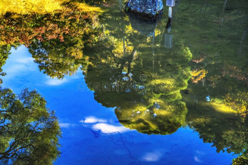 Abstrait automne feuilles jardin ginkakuji pavillon argent temple bouddhiste kyoto japon photographie stock