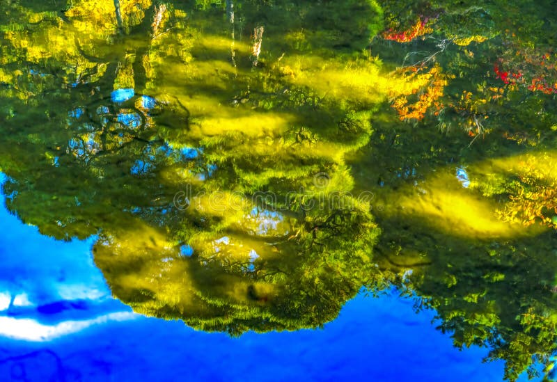 Abstrait automne feuilles jardin ginkakuji pavillon argent temple bouddhiste kyoto japon photographie stock libre de droits