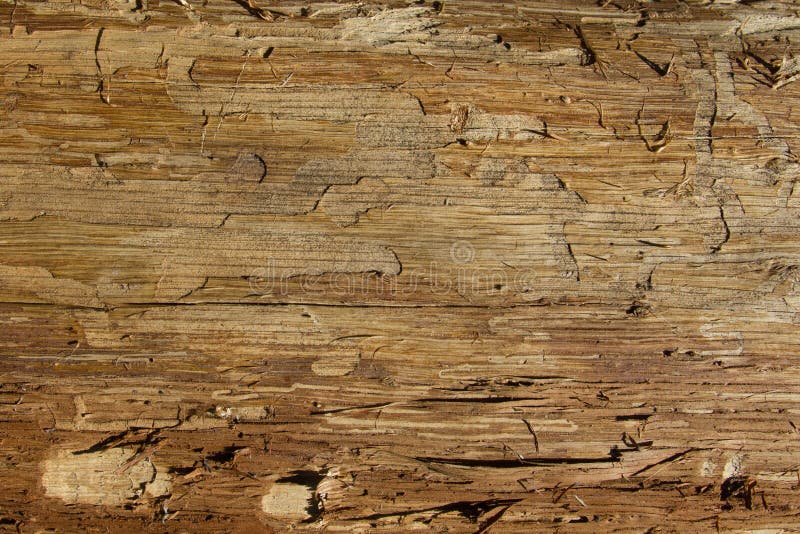 Abstrakcjonistycznej bezszwowej deseniowej ekologii tekstury beżowy żółty naturalny b obraz stock Abstrakcjonistycznej bezszwowej deseniowej ekologii tekstury beżowy żółty naturalny b obraz stock
