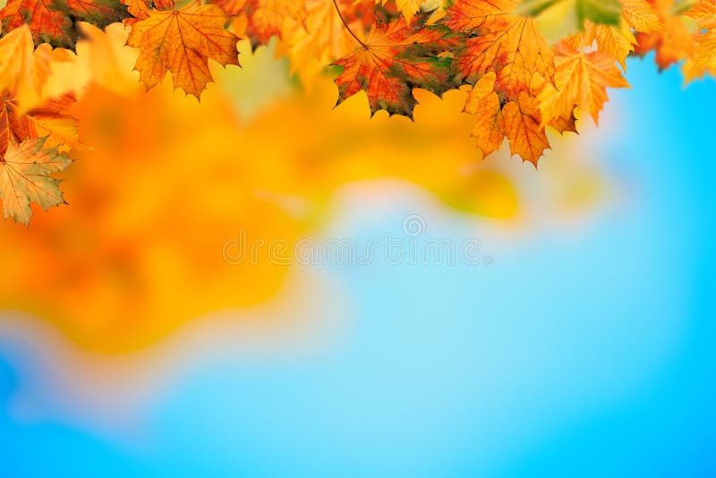 Abstrakcjonistyczni jesienni tła