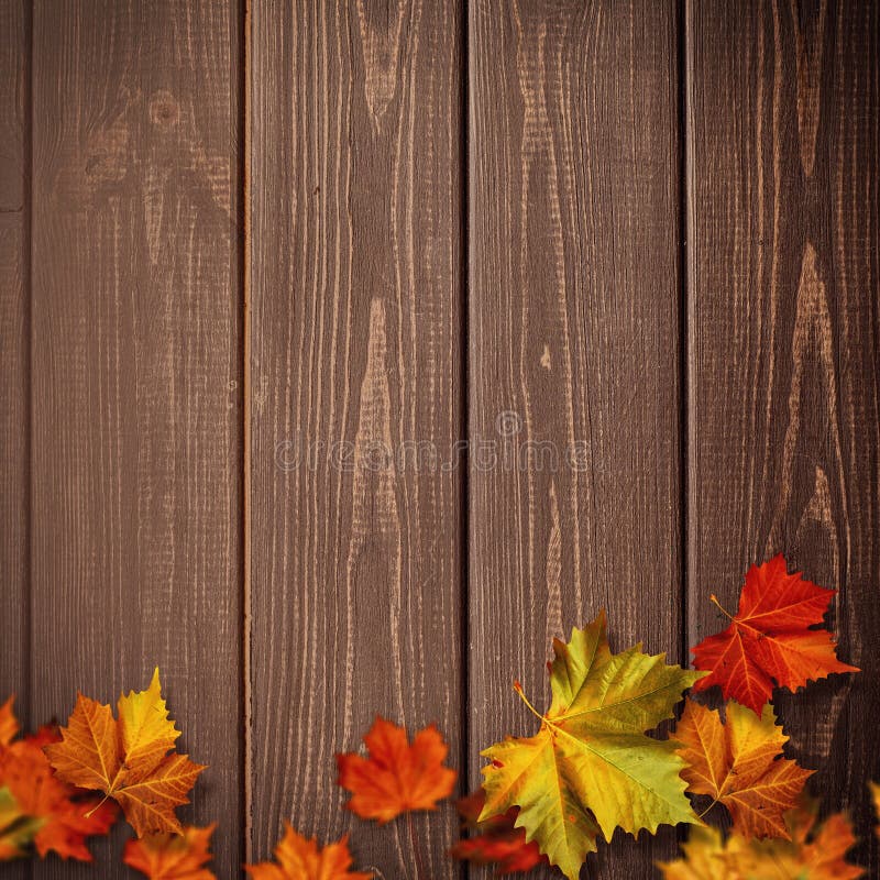 Abstrakcjonistyczni jesienni tła Spadków liście klonowi