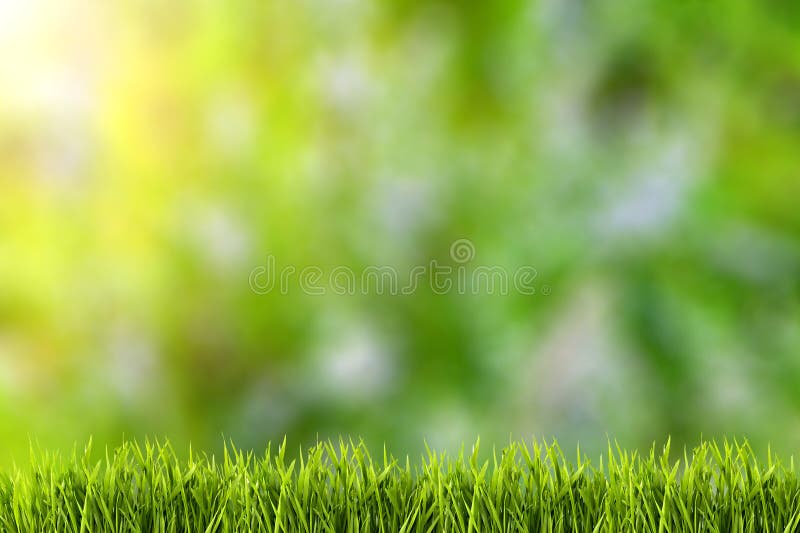 Abstrakcjonistyczni naturalni tła na zielonej trawie